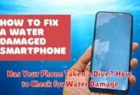 Has Your Phone Taken a Dive? How to Check for Water Damage Has Your Phone Taken a Dive? How to Check for Water Damage