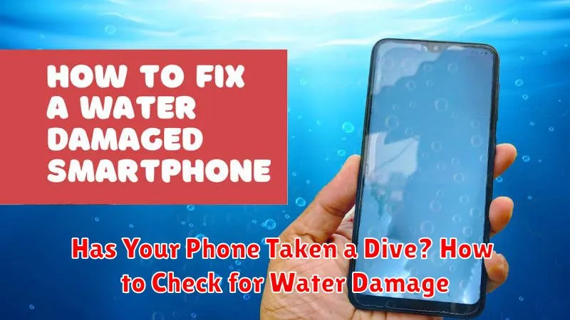 Has Your Phone Taken a Dive? How to Check for Water Damage
